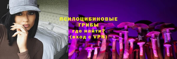 а пвп мука Алзамай