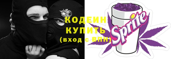 стаф Семилуки