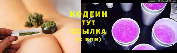 стаф Семилуки