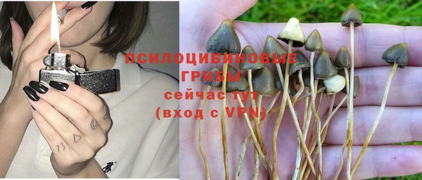 стаф Семилуки