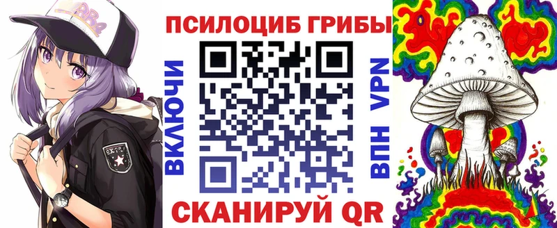 Псилоцибиновые грибы Psilocybe Глазов