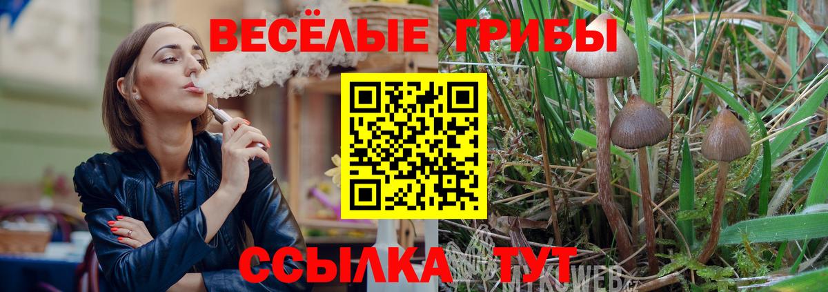 Псилоцибиновые грибы GOLDEN TEACHER  Галлюциногенные грибы Psilocybine cubensis  Глазов 