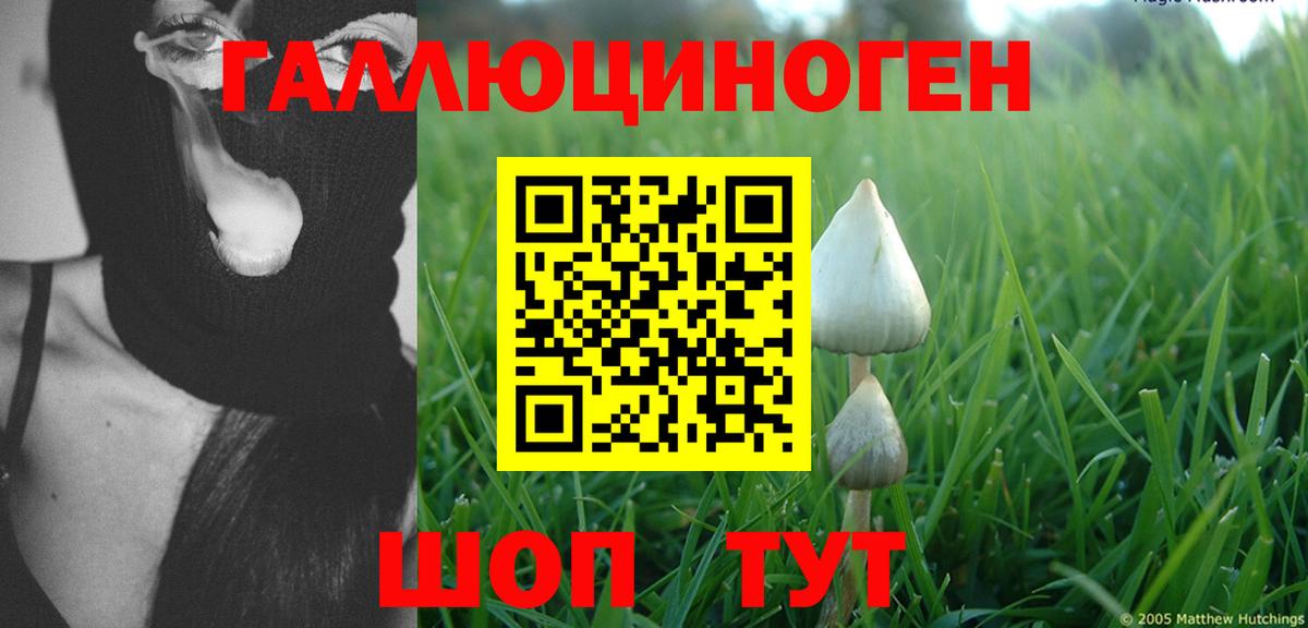 ГАШИШ Глазов