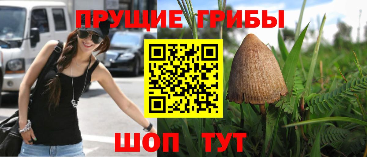 Галлюциногенные грибы ЛСД Глазов